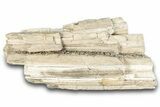 Cretaceous Petrified Wood Covered In Druzy Quartz - Texas #284352-1